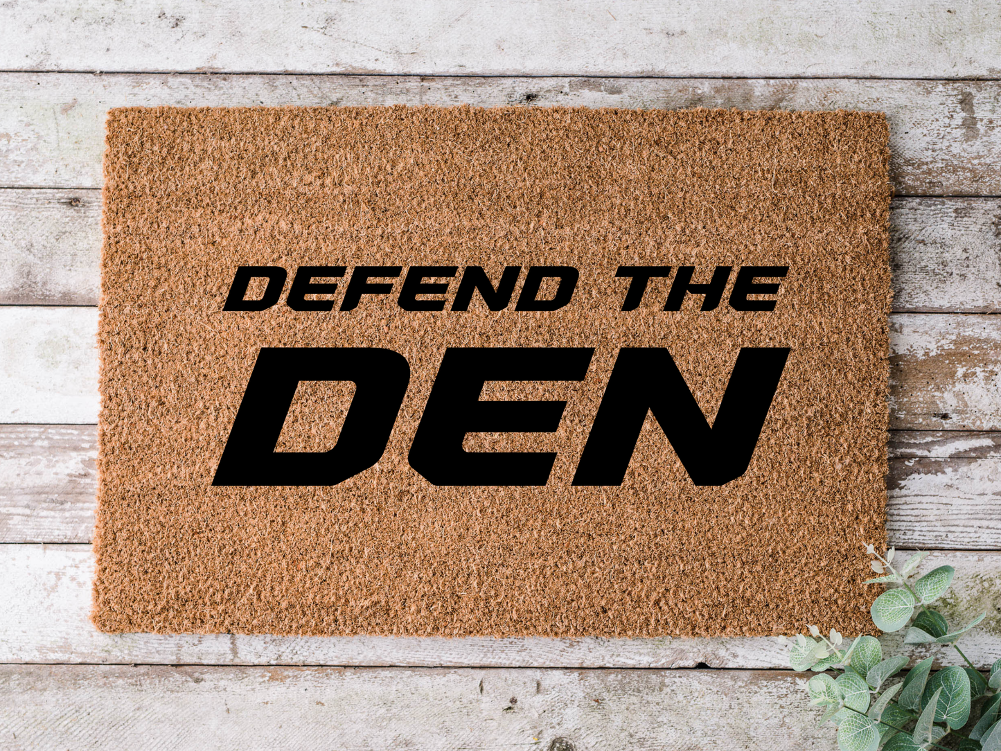 Detroit Lions Defend the Den Doormat